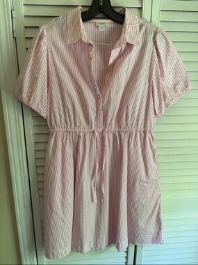 J. Crew Pink and White Striped Drawstring Shirt Dress